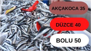 Bolu'da balık neden pahalı?