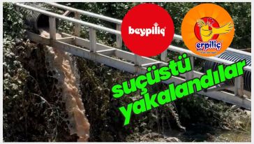 Koku nihayet yetkililere ulaşmış..!