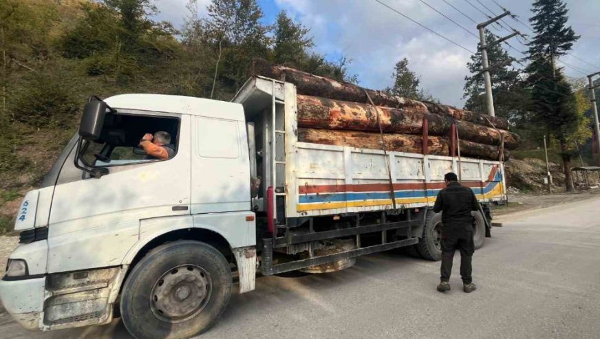 Kaçak odun dolu kamyonlar yakalandı