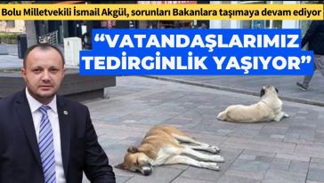 Bolu Belediyesi barınağını Bakan'a sordu
