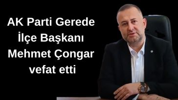 Feci kazada hayanı kaybetti