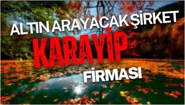 Ruhsat 7 yıllığına verilecek!