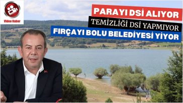 "Siyaseti bırakın, Gölköy'ü bize verin!"