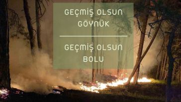 Yangın kontrol altına alındı 