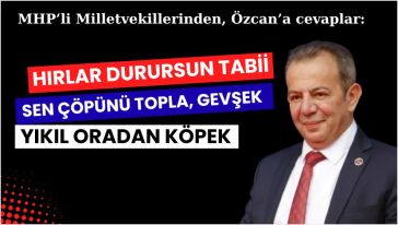 Siyasi eleştiriye, hakaretle cevap verdiler