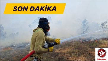 Göynük'te orman yangını başladı