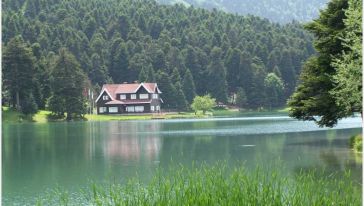 Gölcük'teki işletmeler yeniden ihaleye çıkıyor
