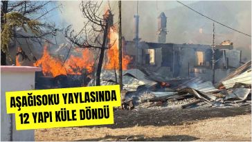 Kundaklama şüphesi var