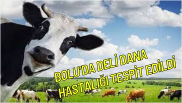 Bir bu eksikti..!