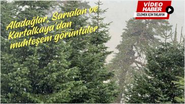 Bolu'da yılın ilk karı yağdı