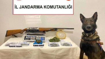 Bolu'da zehir tacirlerine geçit yok