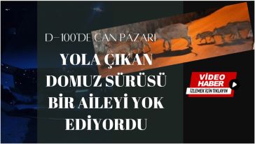 Büyüyen Bolu'da karayollarımızda güvenlik yetersiz