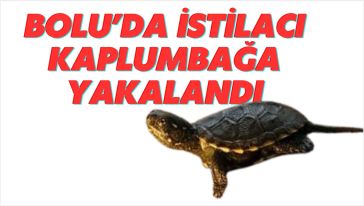 Jandarma yasaklı türe geçit vermedi