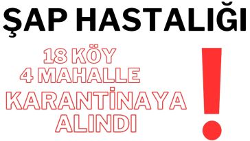 Mudurnu Hayvan Pazarı kapatıldı