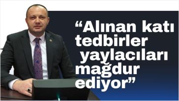 Akgül, yaylacıların sorunlarını TBMM'de dile getirdi