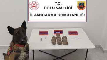 Zehir tacirlerine darbe