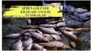 Jandarma'nın "ağ"ına takıldılar