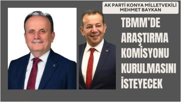 "Koyunlar kayıp arkadaşlar"