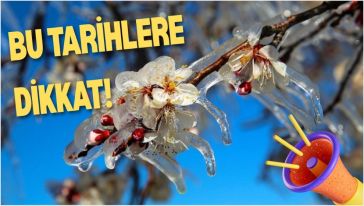 Valilikten çiftçiye don uyarısı