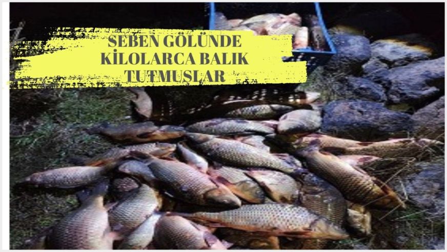 Jandarma'nın "ağ"ına takıldılar