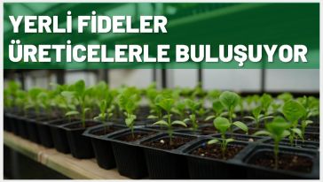 Bolu Belediyesi satışlara 15 Mayıs'ta başlıyor