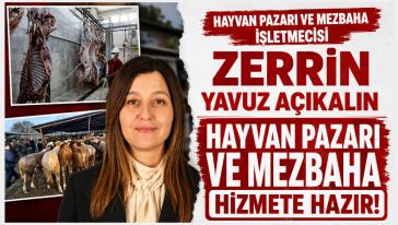 Canlı Hayvan Pazarı açıldı