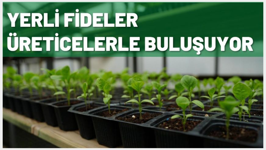 Bolu Belediyesi satışlara 15 Mayıs'ta başlıyor