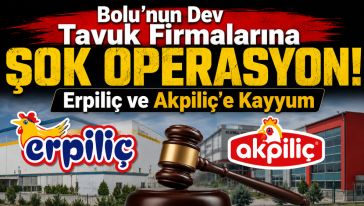 Ericek ve Aksoy hakkında gözaltı kararı