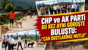 Sultanbey'deki Doğal Yaşam Alanı beğeni topladı