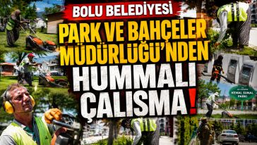  Yabani otlara karşı ekipler sahada